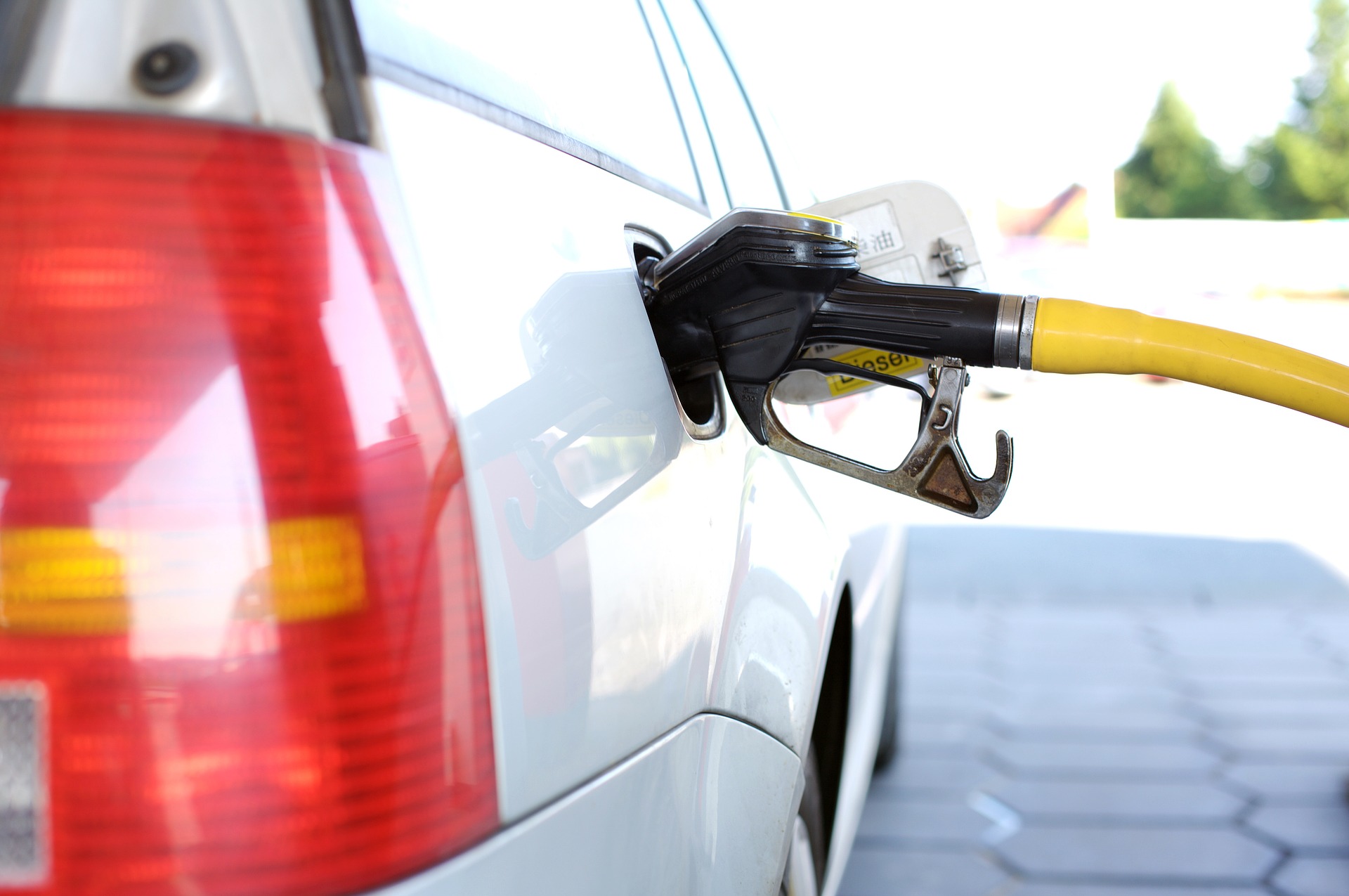 Le 10 auto a benzina più vendute nel 2021.