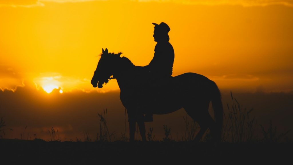 Uomo a cavallo - pexels - automotore.it