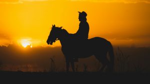 Uomo a cavallo - pexels - automotore.it